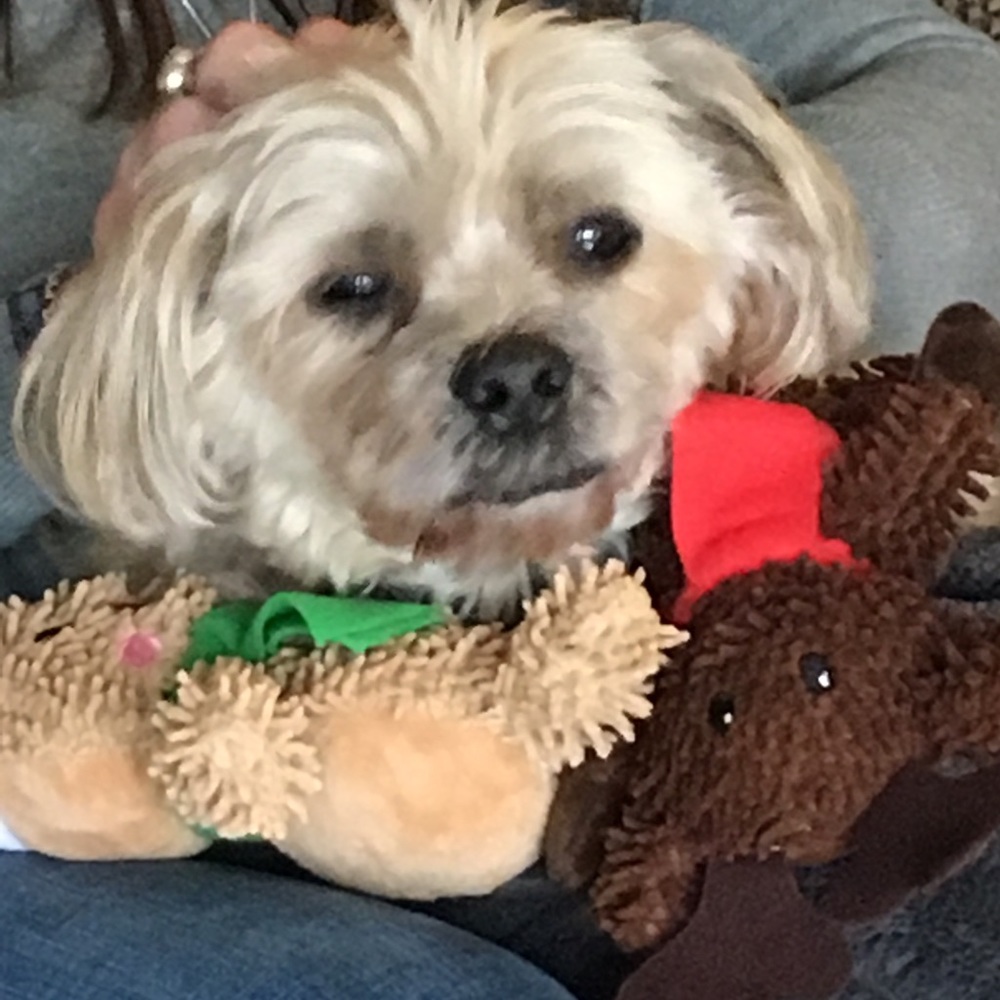 Meet your Posher, Dayna